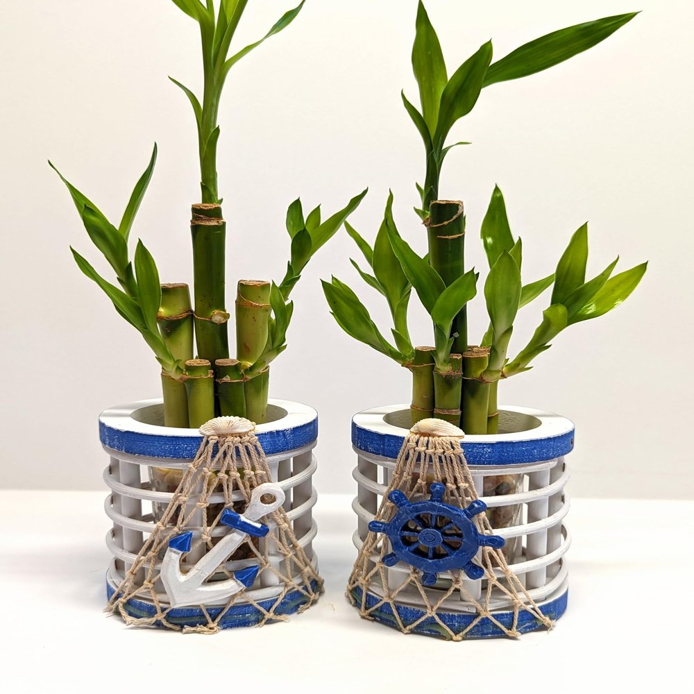 Generic 12 Stalk Lucky Bamboo with Helm and Anchor