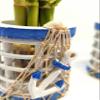 Generic 12 Stalk Lucky Bamboo with Helm and Anchor view 2