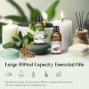 Rose Essential Oils 3.38FL.OZ - Aromatherapy Essential Oils for Diffusers for Home, Rose Scented Oils for Massage, Soap Candle Making Scents - 100ML view 3