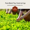 GTGLOTRA Full-Leaf Black Tea, 72 Pyramid Bags (12 Pack), Easy Brew, 100% Natural, Low Caffeine, Caffeine Alternative to Coffee, Biodegradable Tea Whole Leaf Tea Sampler, Family Size, Office Reception,Daily Consumption,Gifts view 3