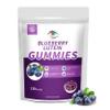 Blueberry Lutein Gummies with 120 Count - 2 Month Supply, Eye Health Support Supplement for Kids and Adult, Contains Blueberry Juice (30 mg/Gummy) & Lutein (20 mg/Gummy) view 1