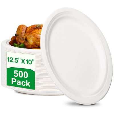 100% Compostable Paper Plates, 500 Pack 10" x 12.5" Inch Paper Plates, Eco-Friendly Heavy Duty Disposable Plates for Picnics, Dinner, Birthday Party, Camping, BBQ