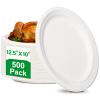 100% Compostable Paper Plates, 500 Pack 10" x 12.5" Inch Paper Plates, Eco-Friendly Heavy Duty Disposable Plates for Picnics, Dinner, Birthday Party, Camping, BBQ view 1