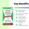 FRESHLITE 2500FU Premium NSK-SD Nattokinase & Vegan Postbiotics for Cardiovascular Support | Blood Pressure, Cholesterol & Heart Health | JNKA Certified | Non-GMO, Gluten-Free, 60 Capsules Japan Made view 2