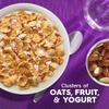 Kellogg's Special K Fruit and Yogurt Breakfast Cereal, Good Source of Fiber, Giant Size, 22 oz view 3