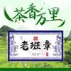 2015 Lao Banzhang 500 Year Old Tree Ripe Pu-erh Tea Cake, 1000g, from Yunnan view 3