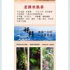 2014 Lao Ban Zhang - Ancient Tree Pure Material Ripe Pu-erh Tea Cake, 357g, from Yunnan view 3