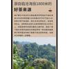 2023 Meiziqing Single Plant Raw Pu-erh Tea Cake, 357g, from Yunnan view 3