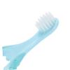 Beavorty 2pcs Boy Girl Toothbrushes Soft Brush Boys and Girls Toothbrush Ergonomic Tooth Brush for and Daily Use view 4