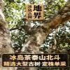2023 Iceland Di Jie Raw Pu-erh Tea Cake, 357g, from Yunnan view 4