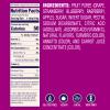 Welchs Absolute Fruitfuls Fruit Strips, Tasty Dried Fruit Snacks for School Lunches, Berry Medley, 0.5oz (Pack of 10) view 2