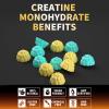 Nutravita NSF Certified Creatine Gummy - Creatine Monohydrate Gummies for Men & Women-5g of Creatine Monohydrate per Serving - Sugar Free,Vegan,Blueberry Pineapple Flavor, 120 Count view 4