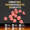 Nutravita NSF Certified Creatine Gummy - Creatine Monohydrate Gummies for Men & Women-5g of Creatine Monohydrate per Serving - Sugar Free,Vegan, Strawberry Flavor, 120 Count view 4