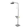 304 Stainless Steel Composite Emerncy Shower Eyewash,Vertical Double Eye Washing Shower Set(A) view 1