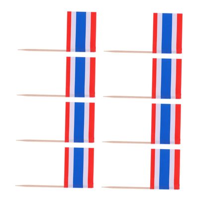 Ciieeo National Flag Toothpick Set 100pcs Wooden Toothpicks Perfect for Cupcakes Parties