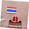 Ciieeo National Flag Toothpick Set 100pcs Wooden Toothpicks Perfect for Cupcakes Parties view 3