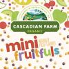 Cascadian Farm Organic Mini Fruitfuls, Gluten Free Cereal, Made with Whole Grain, Non-GMO, 11.1 oz view 3