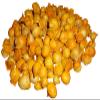 Japanese Garlic (Ajo Japones) 100% Natural!!) Count per Bag: (30-60-130) (60 Pieces) view 2