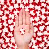 Red Bird Soft Peppermint Candy Puffs, Mints Individually Wrapped, Gluten-Free, Non-GMO Verified, Kosher, Allergen Free 30 oz Bag view 4