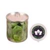 Blessfull Healing Organic Dried Kiwi 300 Gram Airtight Container view 3