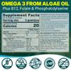 2 Pack Algae Omega 3 Gummies 1000mg, Plant Based DHA 460mg & EPA 230mg, Omega 3 Fish Oil Alternative for Adults, Plus MethylFolate, Vitamin B12, Phosphatidylserine, No Fishy Taste, Vegan, Sugar Free view 2
