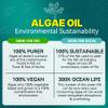 2 Pack Algae Omega 3 Gummies 1000mg, Plant Based DHA 460mg & EPA 230mg, Omega 3 Fish Oil Alternative for Adults, Plus MethylFolate, Vitamin B12, Phosphatidylserine, No Fishy Taste, Vegan, Sugar Free view 4