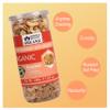 Blessfull Healing Organic Natural, Vegan Sea Salt Vinegar Roasted Halves/Pieces Cashew Nuts Crunchy Kaju 500 Gram view 4