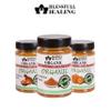 Blessfull Healing Organic Non Veg Spice Combo Pack of 3 Combo #17 view 3
