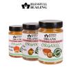 Blessfull Healing Organic Vegetarian Spice Combo Pack of 3 Combo #85 view 3