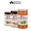 Blessfull Healing Organic Vegetarian Spice Combo Pack of 3 Combo #88 view 3