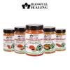 Blessfull Healing Organic Non- Veg Spice Combo Pack of 5 Combo #10 view 3