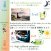 1kg "Dreaming Ryokucha" (Premium) Yamecha Yame tea Sencha Japanese Green Tea Loose Leaves view 4