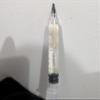 NineLife Basics Lion mane liquid culture view 2