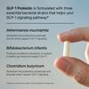 Pendulum GLP-1 Probiotic  Supports Appetite Control and Craving Management, Naturally | Improves Regularity & Gut Health with Akkermansia & Other Strains (30 Capsules) view 4