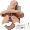 PacuM Airway Management Trainer, Training Manikin, Tracheal Intubation Strain Training Simulator Model, Intubation Manikin, Intubation Head Teaching Study Manikin. view 1