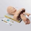 PacuM Airway Management Trainer, Training Manikin, Tracheal Intubation Strain Training Simulator Model, Intubation Manikin, Intubation Head Teaching Study Manikin. view 4