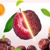 Dried Bayberry 17.63oz Jiuzhi Yangmei Candied Dried Fruits Sour and Sweet Plum Snacks 500g view 4