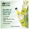 Blessfull Healing Organice Cold Pressed Rosemary Infused Oil For Healthy Cooking 250 ml / 8.45 fl oz Pack Of 1 view 2