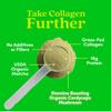 Further Food Matcha Collagen Peptides Powder - Organic Matcha & Cordyceps for All Day Energy, Mental Clarity & Immunity & Premium for Gut Health, Joints, Skin, Hair & Nails 10.62 oz view 3
