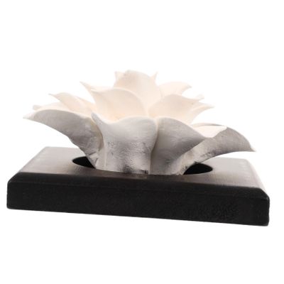 Didiseaon Car and Home Essential Oil Diffuser Decorative Diffuser Portable Incense for Essential Oils
