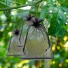 100pcs Organza Bags - 4"x6" Jewelry Bags with Drawstring, Black Mesh for Gift Packaging, Party, Wedding, Festive view 4