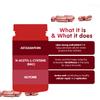 Alexsyn Antioxidant Support Formula  Concentrated Vegan & Gluten-Free Capsules  Helps Defend Against Oxidative Stress and Maintain Daily Vitality  60 Capsules view 2