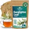 4 oz Dried Eucalypt Leaves Dry Herbal Tea (Eucalyptus) 113g Long Big Eucalyptus Leaf Herb Hojas De Eucalipto view 1