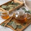 4 oz Dried Eucalypt Leaves Dry Herbal Tea (Eucalyptus) 113g Long Big Eucalyptus Leaf Herb Hojas De Eucalipto view 3