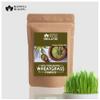 Blessfull Healing Organic 100% Pure Natural Wheatgrass Powder | 100 Gram / 3.52 oz view 3