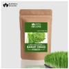 Blessfull Healing Organic 100% Pure Natural Barley Grass Powder | 200 Gram / 7.05 oz view 3