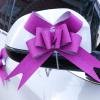 100Pcs Pull Bow, Bows for Flower Bouquets Wrapping Bows Pull Ribbon Bows Bouquet Bow Pull String Bows Knot Ribbon Strings for Gift view 3