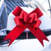 100Pcs Pull Bow, Bows for Flower Bouquets Wrapping Bows Pull Ribbon Bows Bouquet Bow Pull String Bows Knot Ribbon Strings for Gift view 4