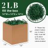 Corlcol 2LB Crinkle Paper Shred Filler for Bag Gift Box Basket Paper Shreded Stuffing Decoration for Christmas Day Holiday Party (Green) view 2