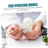 Didiseaon Creative Ear Piercing Model Realistic Human Ear Simulation for Jewelry Practice for Students and and Reusable Display view 3